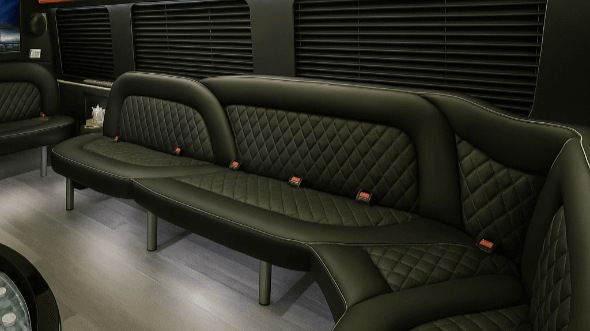 philadelphia 14 passenger sprinter limousine interior